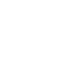 Line Code icon